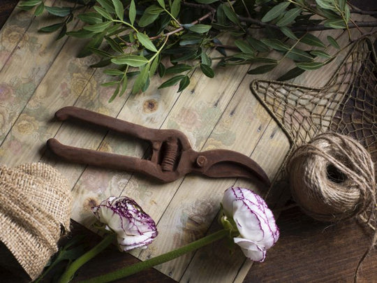 Tijeras para rosas de chocolate