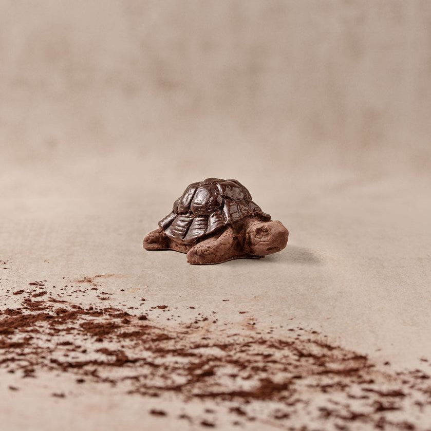 Schildkröte aus zartbitter und vollmilch schokolade- Schokoladegeschenk