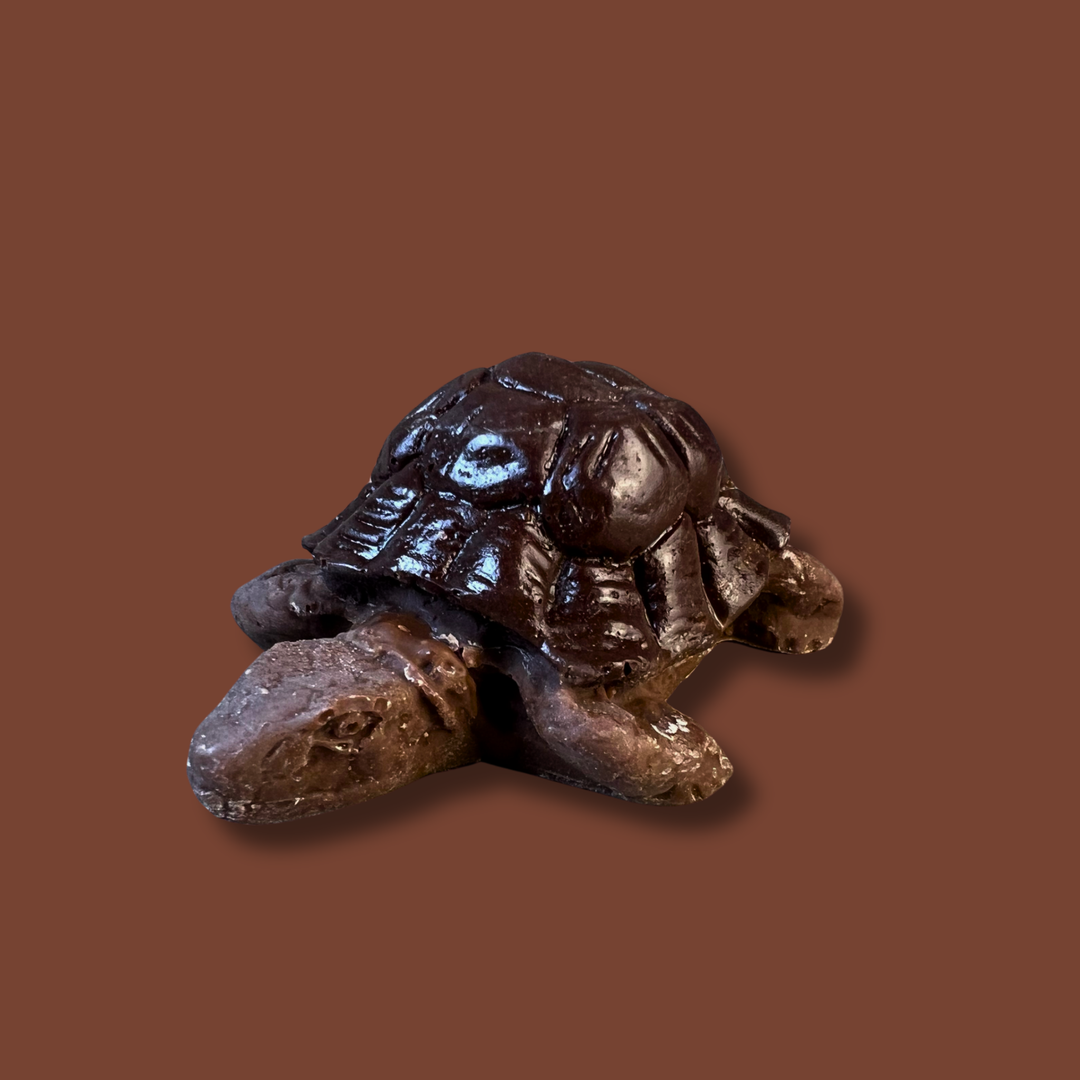 Schildkröte aus Schokolade